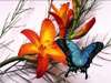 Gratis kaarten met bloemen vlinder liefdes boeket