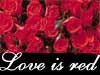 Online bloemenkaarten, liefde is rood