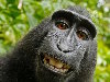 Theme: Humor kaarten e-card: Selfie