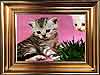 Poezen kaarten Kitten Portret e-card