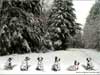 Kerstkaarten kerstmis dalmatiers wenskaart 2024