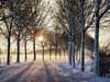 Kerstkaarten, een besneeuwde weg, typisch Hollands sneeuwlandschap