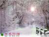 3D Kerstkaarten Sneeuwpad html5 sneeuweffect met countdown