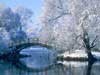 Kerstkaarten, kerstkaart met besneeuwde brug in park