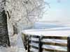 Kerstkaarten kerst wenskaart met sneeuw landschap