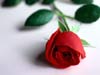 Liefdeskaarten de romantische roos