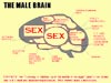 grappige sexy humor kaarten, het mannen brein