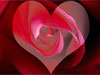 Valentijnskaarten, hart en roos kaart voor lovers