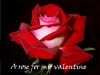 Valentijnskaarten, een valentijn kaart met een roos voor jou