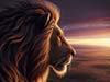Theme: Animal cards e-card: Closeup Lion