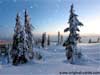 3D Christmas eCards snowy scene on a mountain side