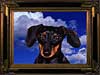 E-Cards with dogs, a posing dog for painting e-cards