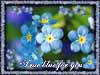 Flower ecards  true blue flowers