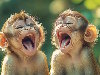 Theme: Funny cards e-card: Monkey Humor
