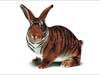 Funny E-cards, a Tiger Rabbit, humor cards