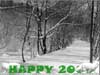 New Year Greetings, two Cats wishing you a happy 2024
