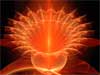 Love E-Cards, Love Your Soul, the recipient name will be projected