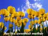 2023 Mothersday cards for the Sweetest Mother