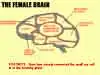naughty E-cards Brains naughty cards