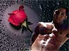 Sexy men playgirl cards Hot Rose Drops Stud gay greeting card