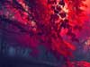 Valentine 2024 E-cards, You are my Valentine in red love nature